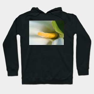 Calla Lilly Close-Up Hoodie